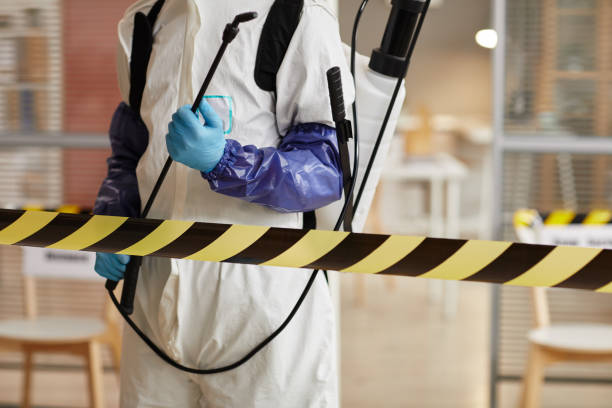 Professional Hoarding Cleanup technician working in Lakeview, MI